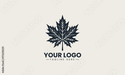Prominent black vector silhouette of a detailed maple leaf showcasing autumn nature and national symbolism