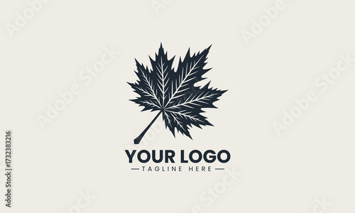 Prominent black vector silhouette of a detailed maple leaf showcasing autumn nature and national symbolism