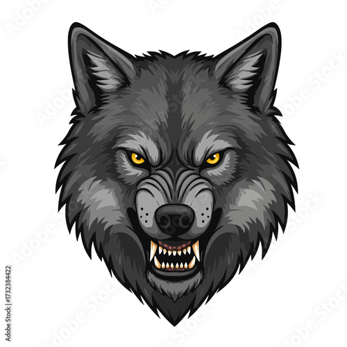 Close up illustration of a fierce gray wolf head with visible fangs and intense yellow eyes, concept for mascot logo, sports team emblem and wildlife conservation project