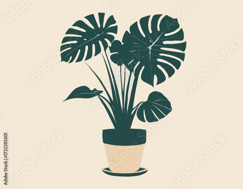 houseplant monstera deliciosa in a pot silhouette