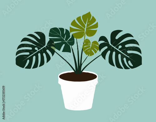 houseplant monstera deliciosa in a pot silhouette