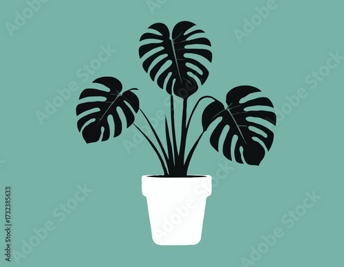houseplant monstera deliciosa in a pot silhouette