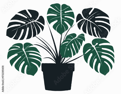 houseplant monstera deliciosa in a pot silhouette