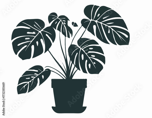 houseplant monstera deliciosa in a pot silhouette