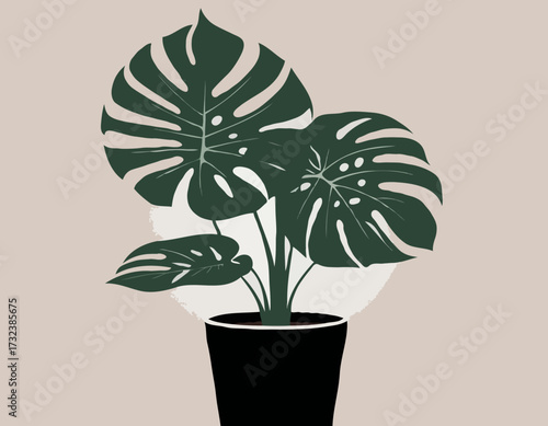 houseplant monstera deliciosa in a pot silhouette