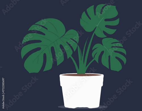 houseplant monstera deliciosa in a pot silhouette