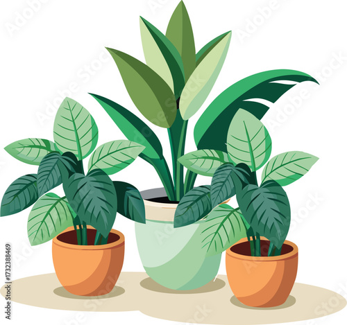Tropical Indoor Houseplants in Ceramic Pots Green Home Interior Decoration Vector