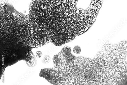 Abstract grunge black and white distressed transparent texture swirly fabric overlay background