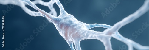 White and blue neuron