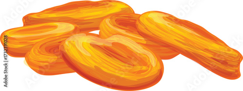 vector illustration of dried apricot