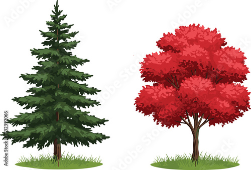 Beautiful green pine tree and red autumn maple tree illustration with grass base, seasonal nature design vector for outdoor landscape decoration.