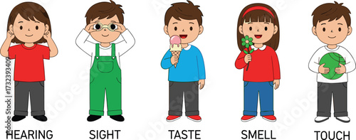 Vector illustration of five human senses for kids, showing hearing, sight, taste, smell, and touch with cartoon children activities.