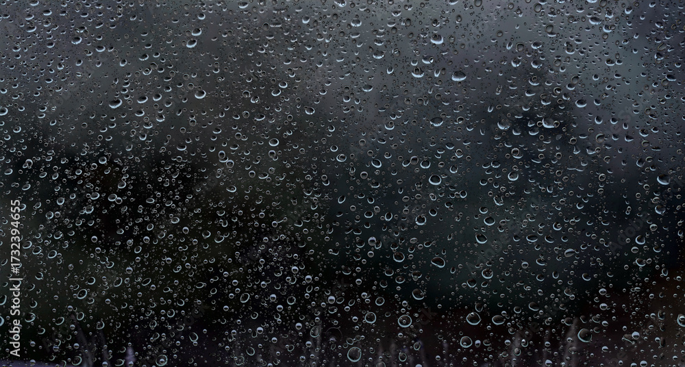 Obraz premium Raindrops on glass close-up. Black and white monochrome. Selective focus