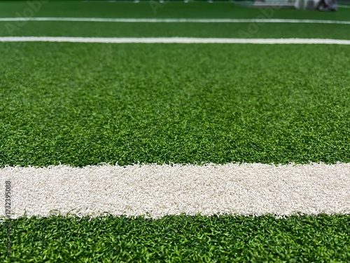 Football field green lawn. 