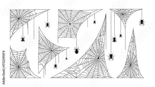 Halloween Spiderweb Collection: A spooky and detailed array of spiderwebs and spiders set against a simple backdrop, perfect for Halloween-themed projects, conveying the creepy, eerie essence.