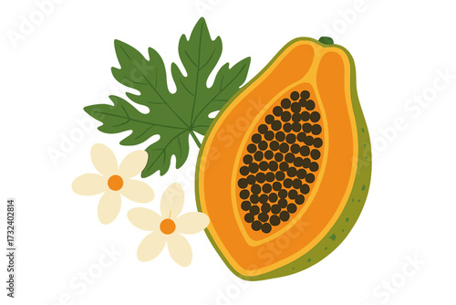Papaya fruit cut in half with seeds, leaf, and flowers. Vector flat illustration of a fresh tropical fruit. Healthy organic food concept. Exotic juicy pawpaw isolated on white.