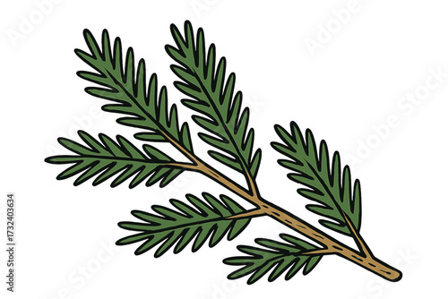 Hand drawn fir branch vector illustration. Isolated pine tree element for Christmas holiday decoration. Winter festive conifer cartoon doodle. Natural evergreen sprig design.