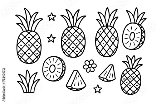 Pineapple doodle set hand drawn elements. Tropical fruit linear vector illustration. Monoline sketch icon collection for logo design, isolated on white background. Cartoon style.