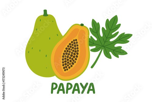 Fresh papaya fruit with leaf, whole and half cut with seeds. Vector illustration in flat cartoon style. Concept for exotic tropical food, healthy diet, vitamins, raw food.