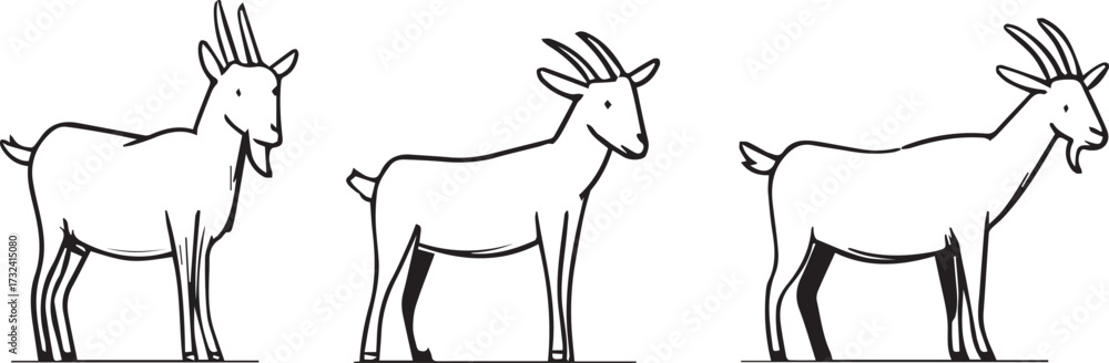 Fototapeta premium a simple vector line drawing of goat icons in different poses, minimalist style, white background, simple lines, vector graphics, black