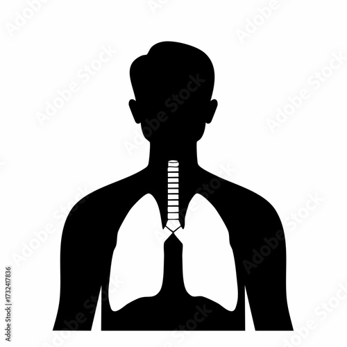 Human upper body silhouette highlighting internal respiratory system with lungs and trachea anatomy diagram