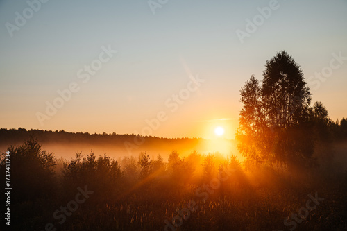 Foto a bright orange sunrise over a fog-shrouded forest