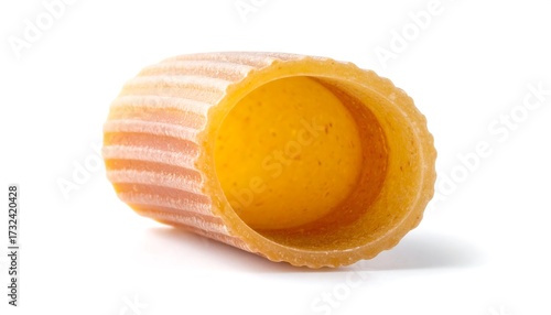 Single pasta shell, close-up