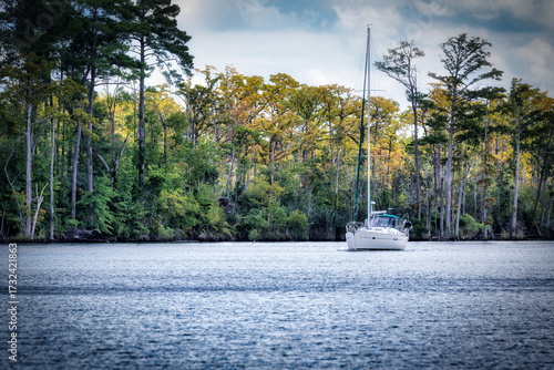 Sailboat in Chesapeake