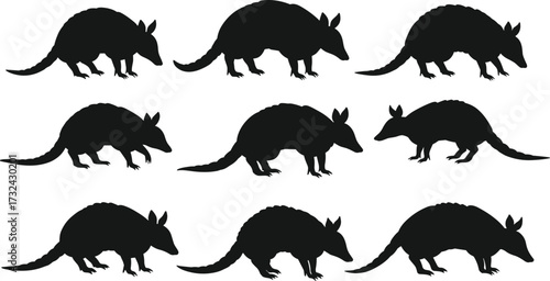 Armadillo silhouette, cartoon armadillo illustration, desert animal vector, armored mammal drawing, wildlife design, nature artwork, South American creature character
