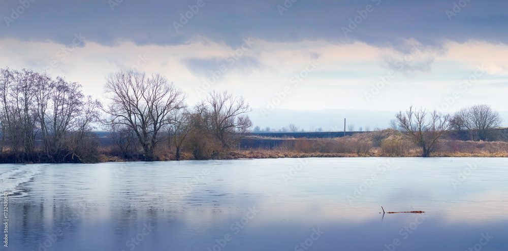 Fototapeta premium A river during a winter thaw reflects a gray sky, creating a calm and gloomy landscape. On the bank grow trees and shrubs, emphasizing the desolation of the winter landscape