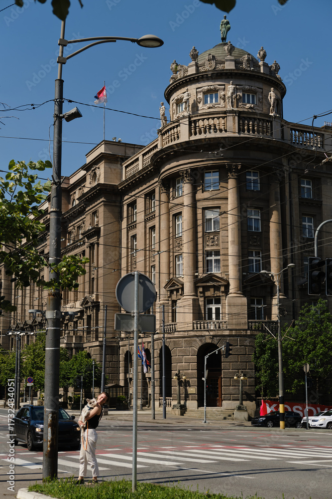 Fototapeta premium Young woman holding red merle Border Collie puppy on the street in Belgrade with old historic building behind. Travel with pet concept.