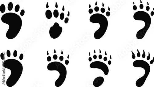 Illustrations of Various Animal Paw Prints and Footprints Demonstrating Unique Characteristics and Features