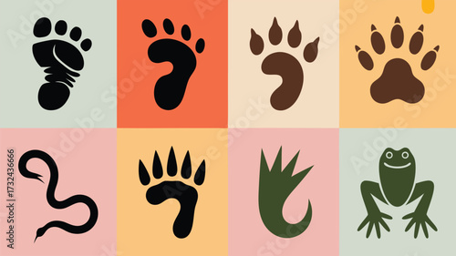 A Vibrant Collage Featuring Diverse Animal Tracks and Silhouettes Showcasing Nature's Wild Footprints and Creatures From Around the World