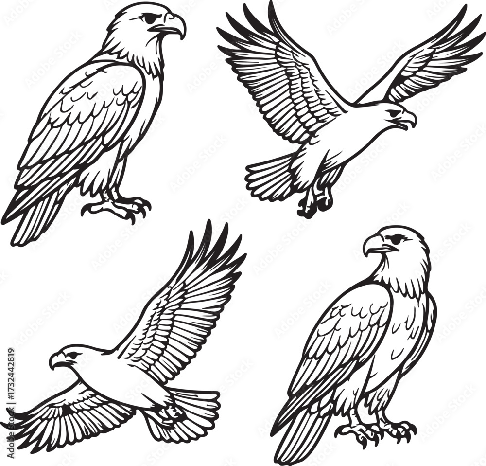 Fototapeta premium Line art eagles