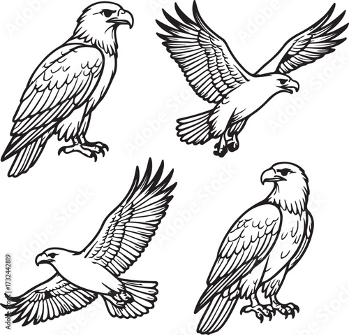 Line art eagles