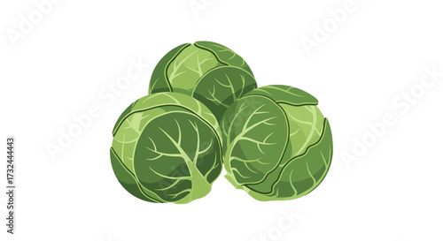 Three fresh Brussels sprouts isolated on white background.