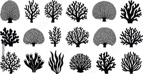 Silhouette coral reef collection, underwater sea plants, marine life illustration, ocean ecosystem, aquatic flora, tropical coral species, decorative marine design elements