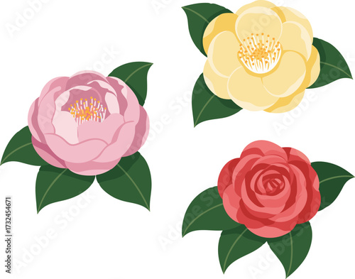A Trio of Beautiful Camellia Flowers Adorned with Lush Green Leaves Vibrant Petals in Pink Yellow and Red Showcasing Nature's Delicate Artistry and Floral Splendor