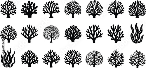 Silhouette illustration of coral reef and seaweed plants, marine underwater nature vector collection, tropical ocean design, aquatic life artwork