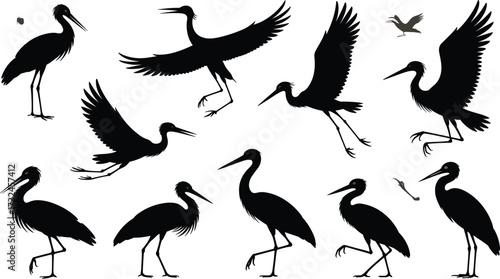 Silhouette illustration of herons and cranes in various poses, flying, standing, walking, vector bird collection, wildlife design, nature artwork