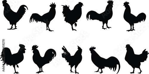 Silhouette illustration of roosters in different poses, farm bird collection, poultry vector artwork, traditional agriculture design, domestic animal graphic set