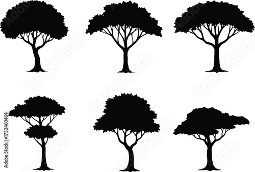 Set of tree silhouettes with different foliage styles, natural forest design elements for eco, landscape, environment, park, and outdoor vector illustration