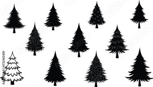 Silhouette of pine trees and fir trees, forest evergreen vector illustration, Christmas tree design, woodland nature elements for seasonal holiday graphics