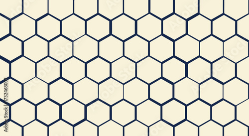Honeycomb pattern of white hexagons with dark blue borders
