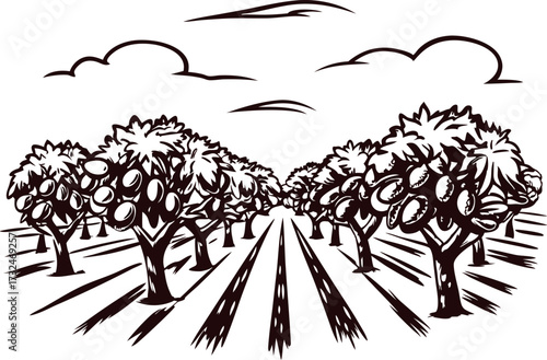 Hand drawn fruit orchard landscape with rows of trees and fruits under cloudy sky in vintage engraved
