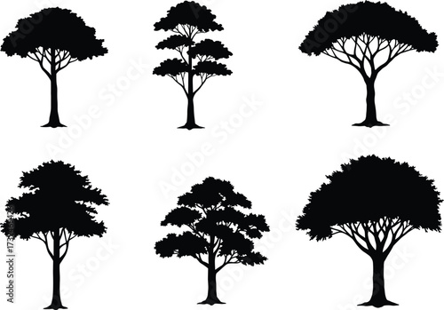 Vector illustration collection of different tree silhouettes, natural forest design elements for landscape, ecology, environment, and botanical artwork projects.