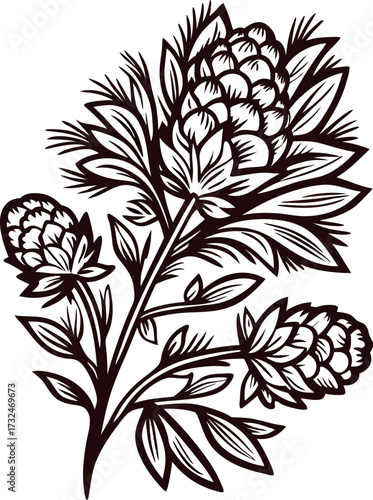 Detailed hand drawn botanical illustration of hops plant branch with cones and leaves in vintage engraving