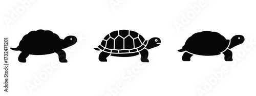 Crawling turtle silhouette vector icon set.
