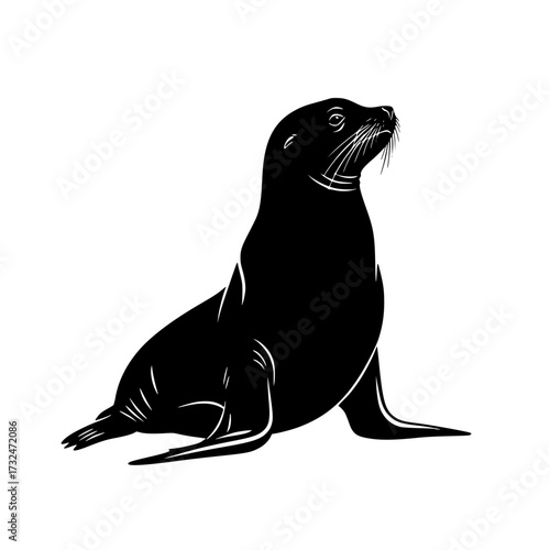 Vector art of black silhouette of a sea lion sitting upright with head raised