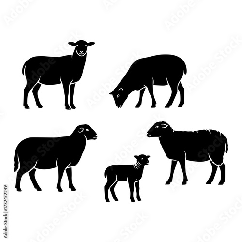 Vector art of black silhouettes of five sheep